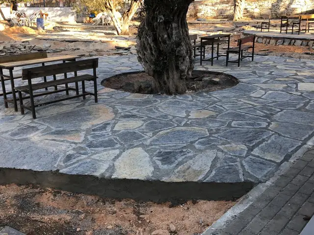 Kayrak taşı döşeli oturma alanı ve ağaç çevresi